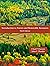 Introduction to Forests and Renewable Resources, Ninth Edition