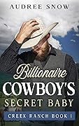 Billionaire Cowboy's Secret Baby, Book 1