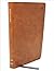 NET Bible: Holy Bible