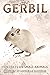 Gerbil: Fun Facts on Small ...