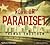 Norr om paradiset (Ludwig Licht, #3)
