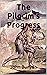 The Pilgrim's Progress