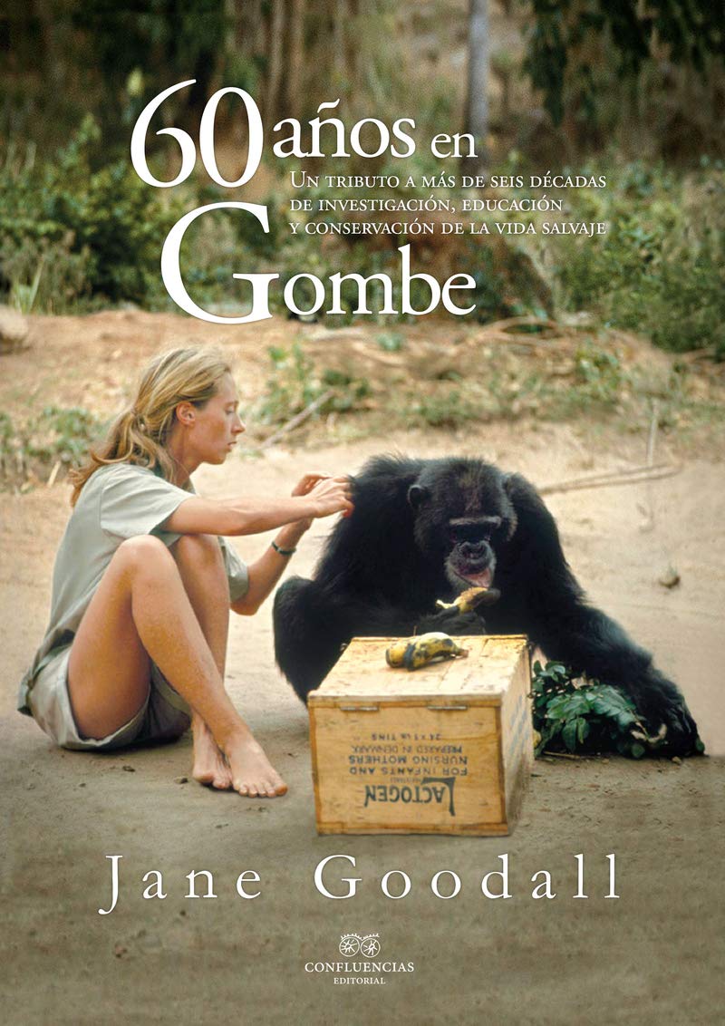 60 Años En Gombe (Paperback)