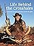 Life Behind the Crosshairs: A personal account of hunting around the globe