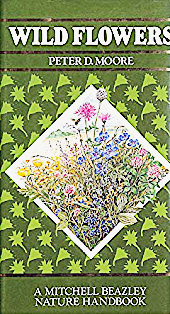 Wild Flowers