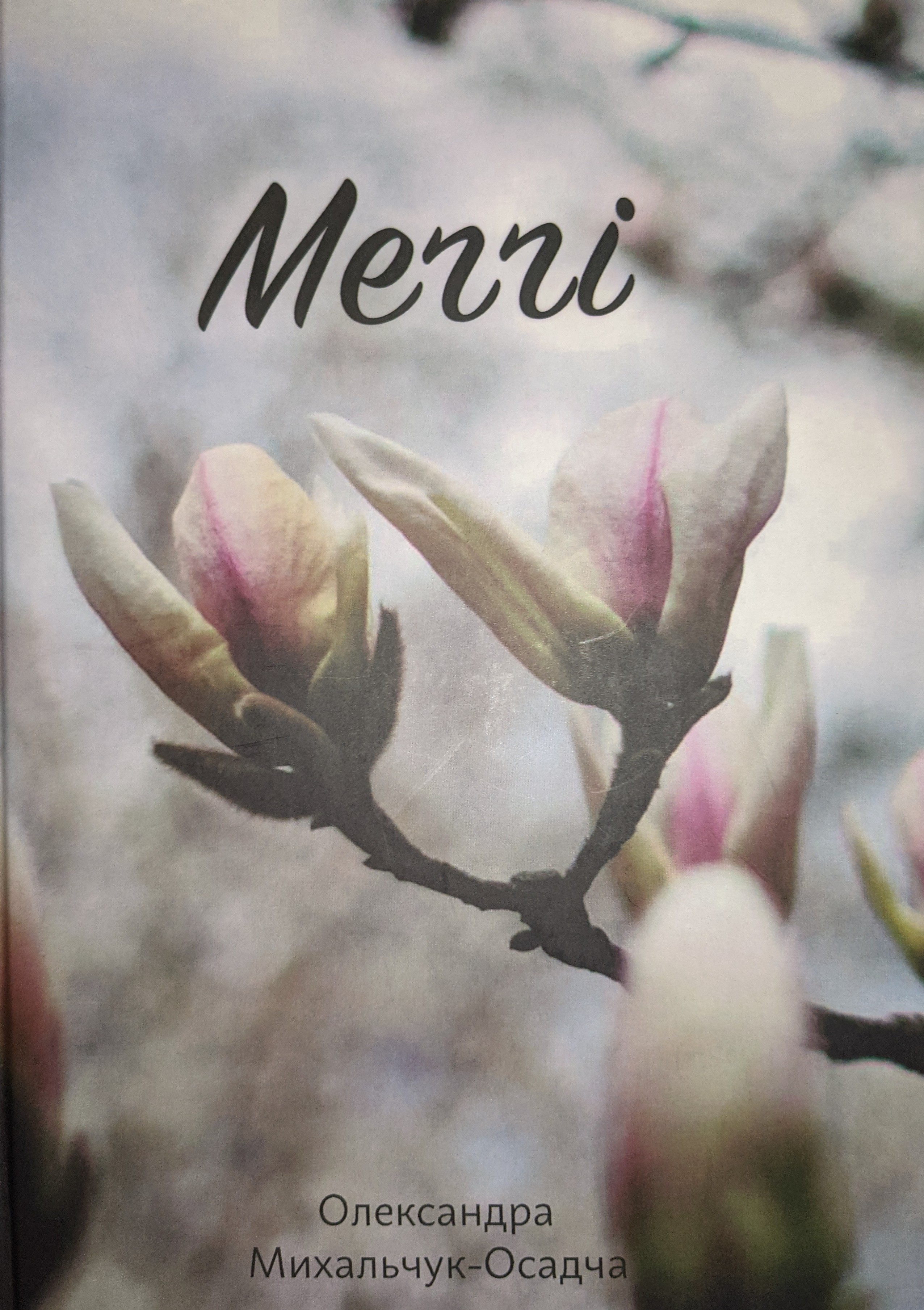 Меґґі (Hardcover)