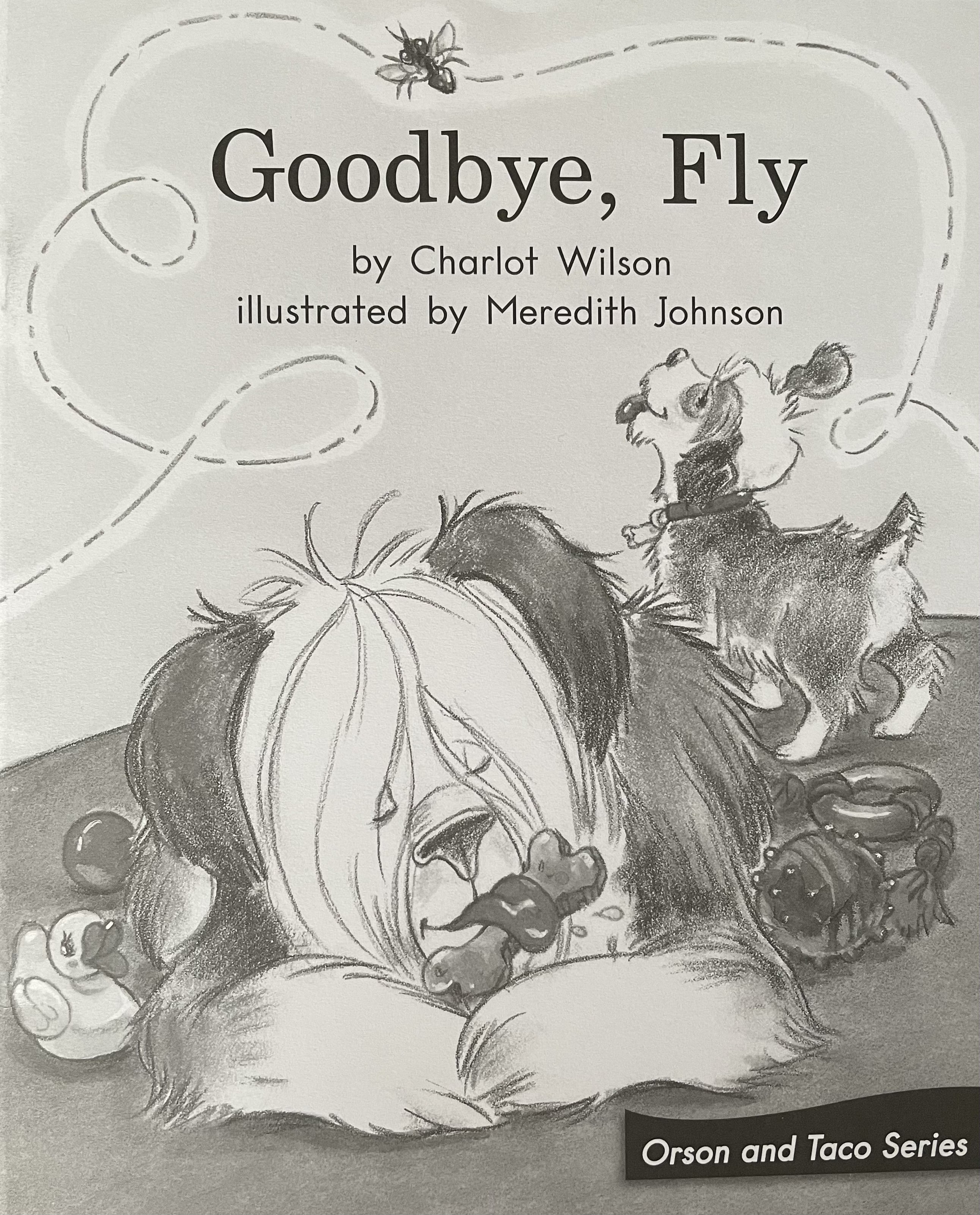 Goodbye, Fly