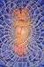 Psychedelic Press XXX by Psychedelic Press