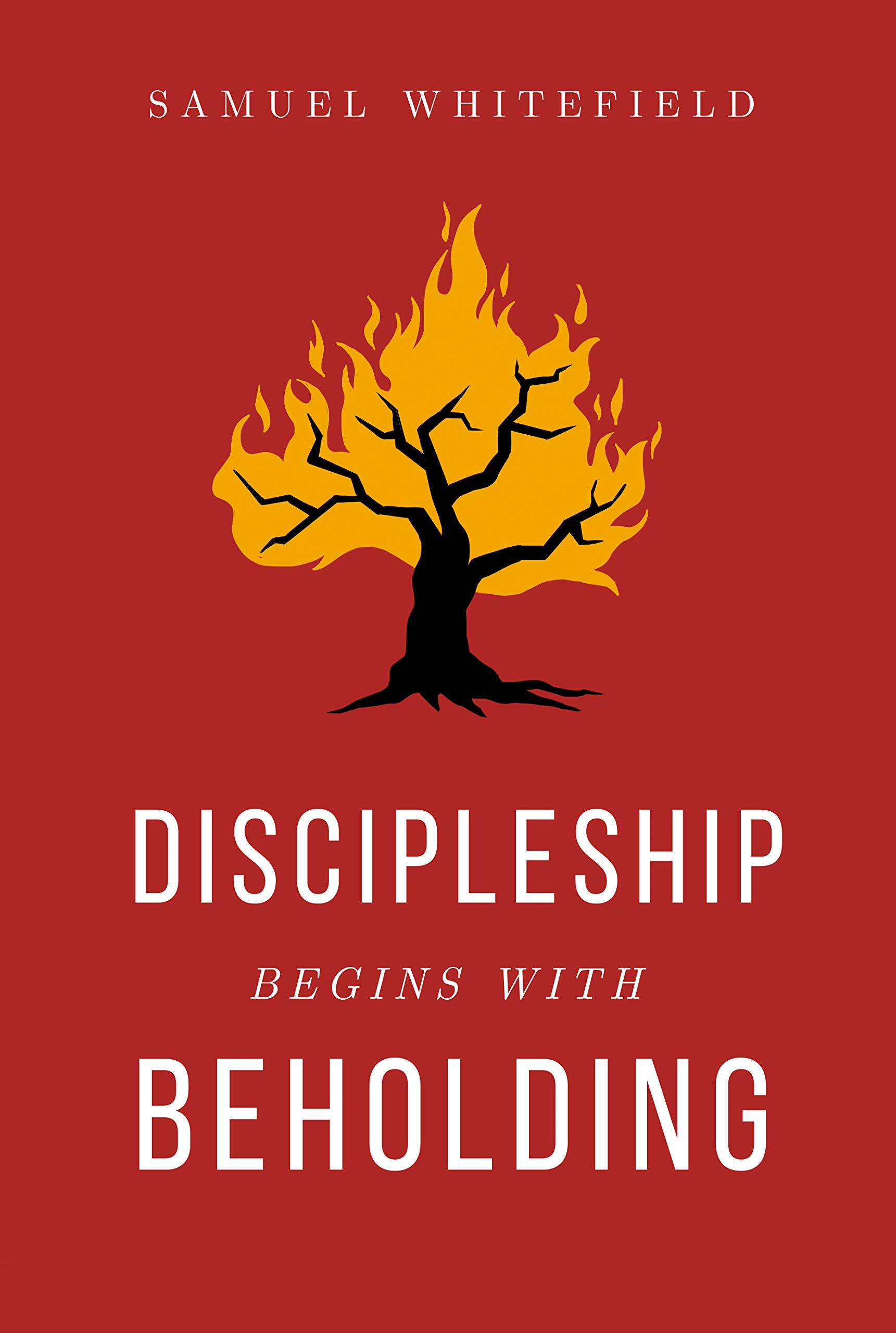 Discipleship Begins with Beholding (Kindle Edition)