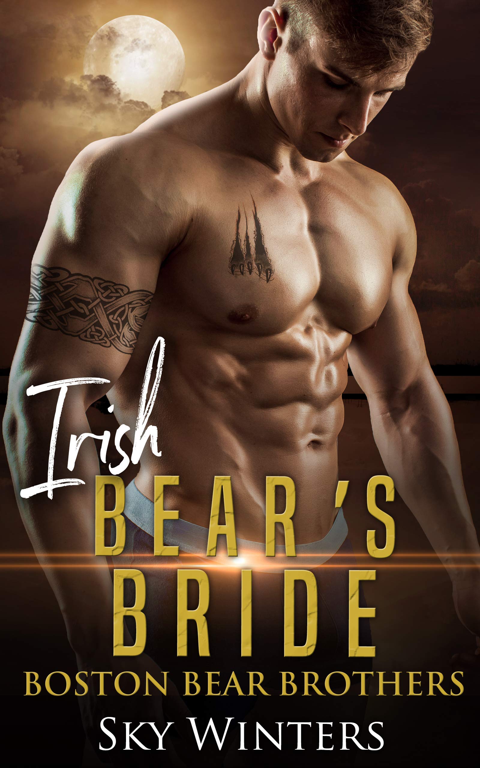 Irish Bear's Bride (Boston Bear Brothers Book 3)
