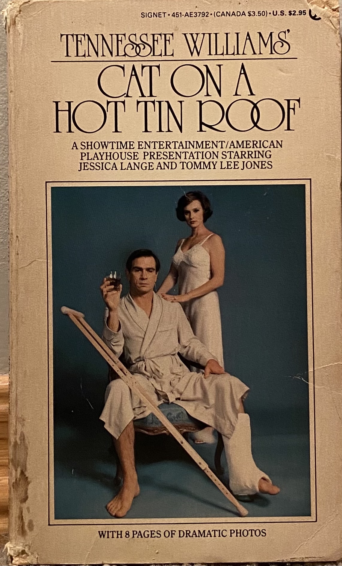 Cat on a Hot Tin Roof