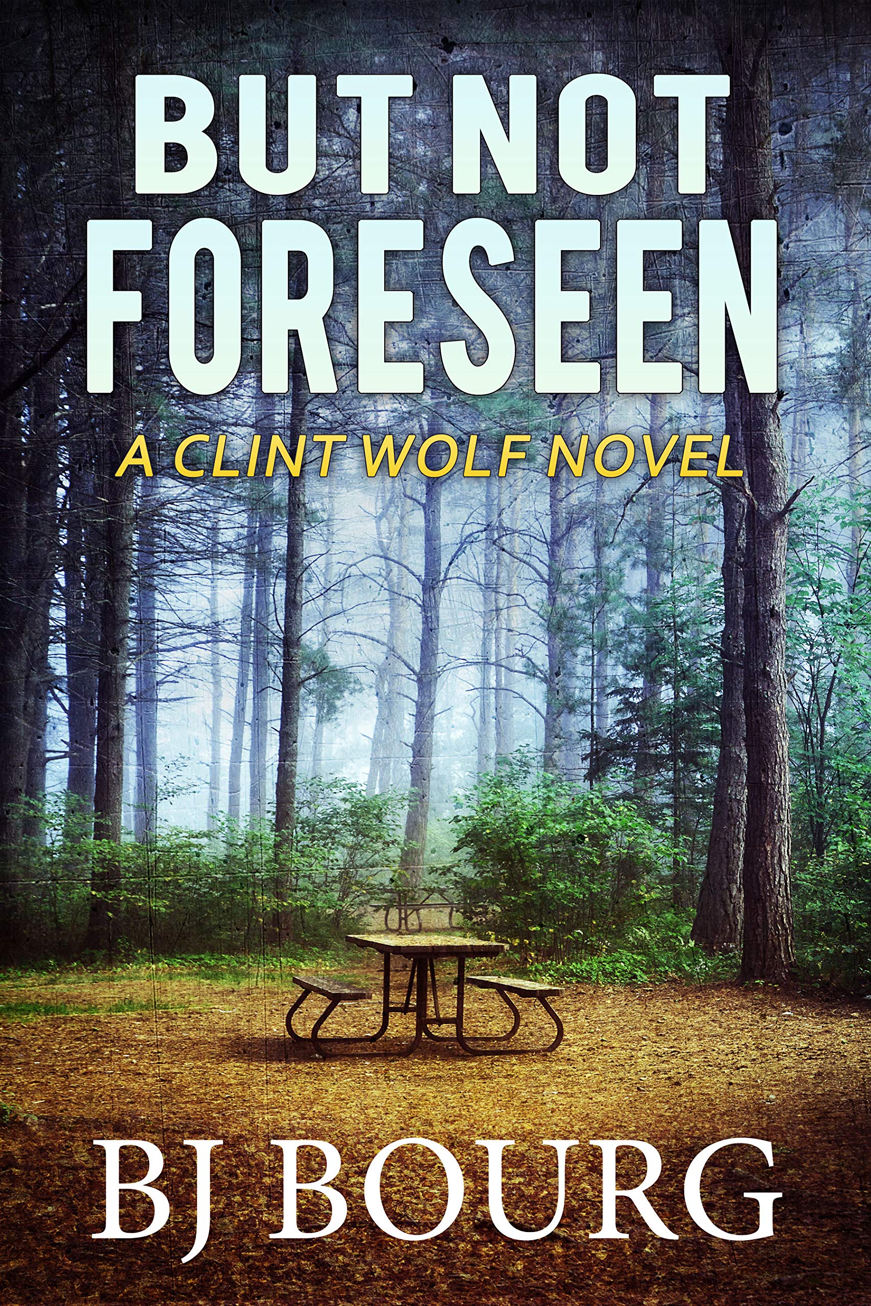 But Not Foreseen (Clint Wolf #18)