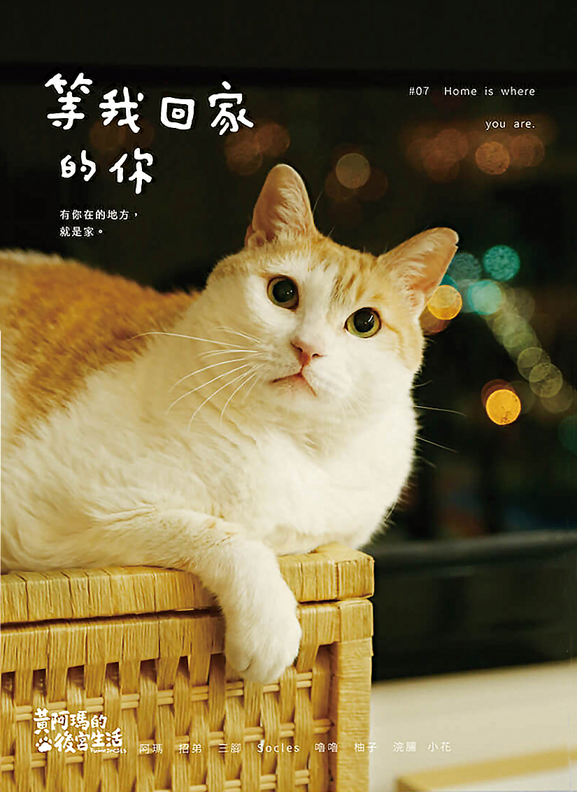 黃阿瑪的後宮生活: 等我回家的你 (Paperback)