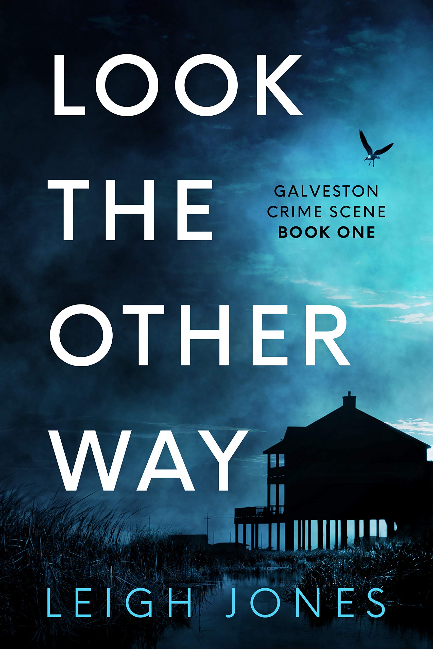 Look The Other Way  (Galveston Crime Scene #1)