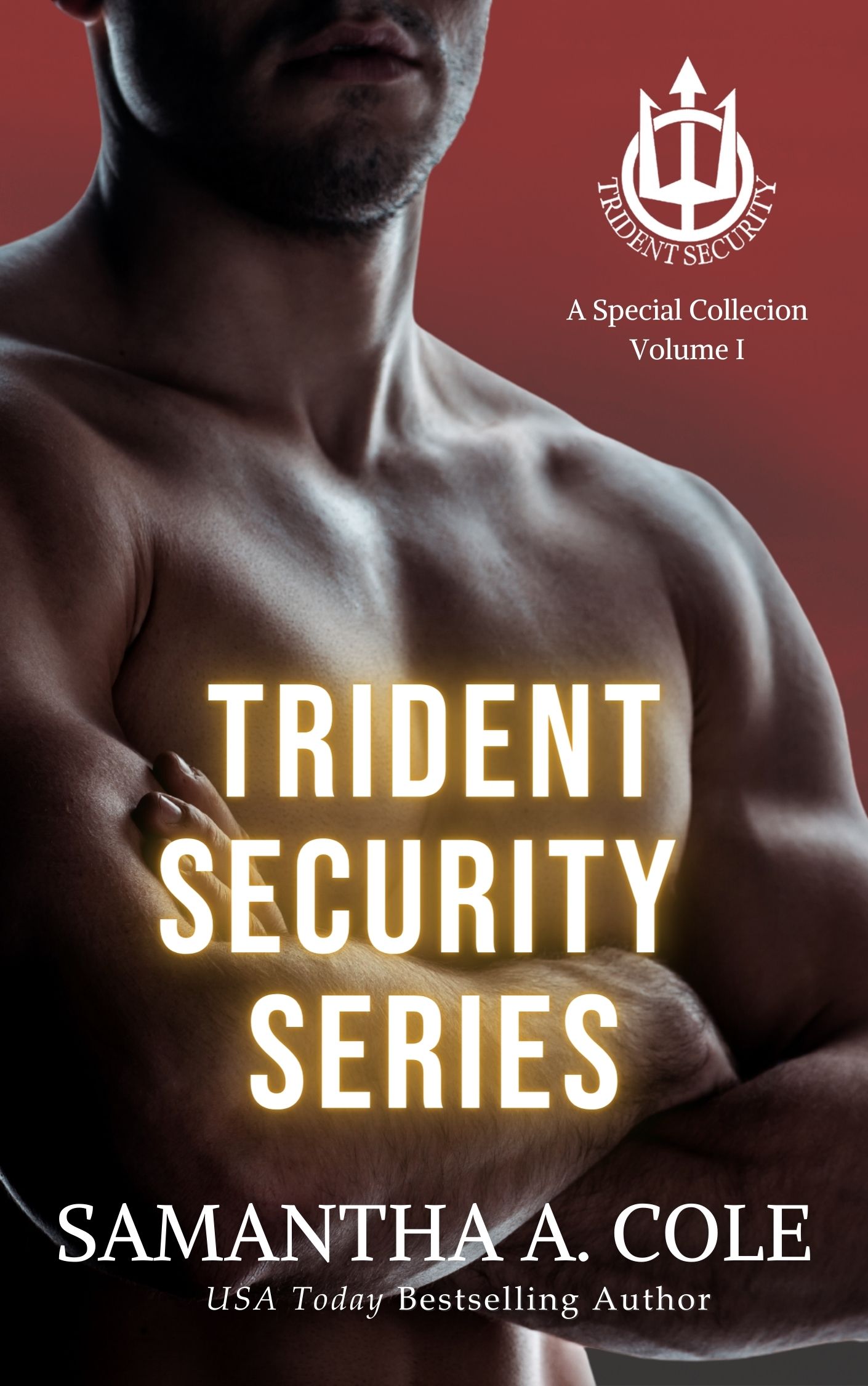 Trident Security Series: Special Collection, Volume 1: Leather & Lace / His Angel / Waiting for Him (Trident Security, #1-3)