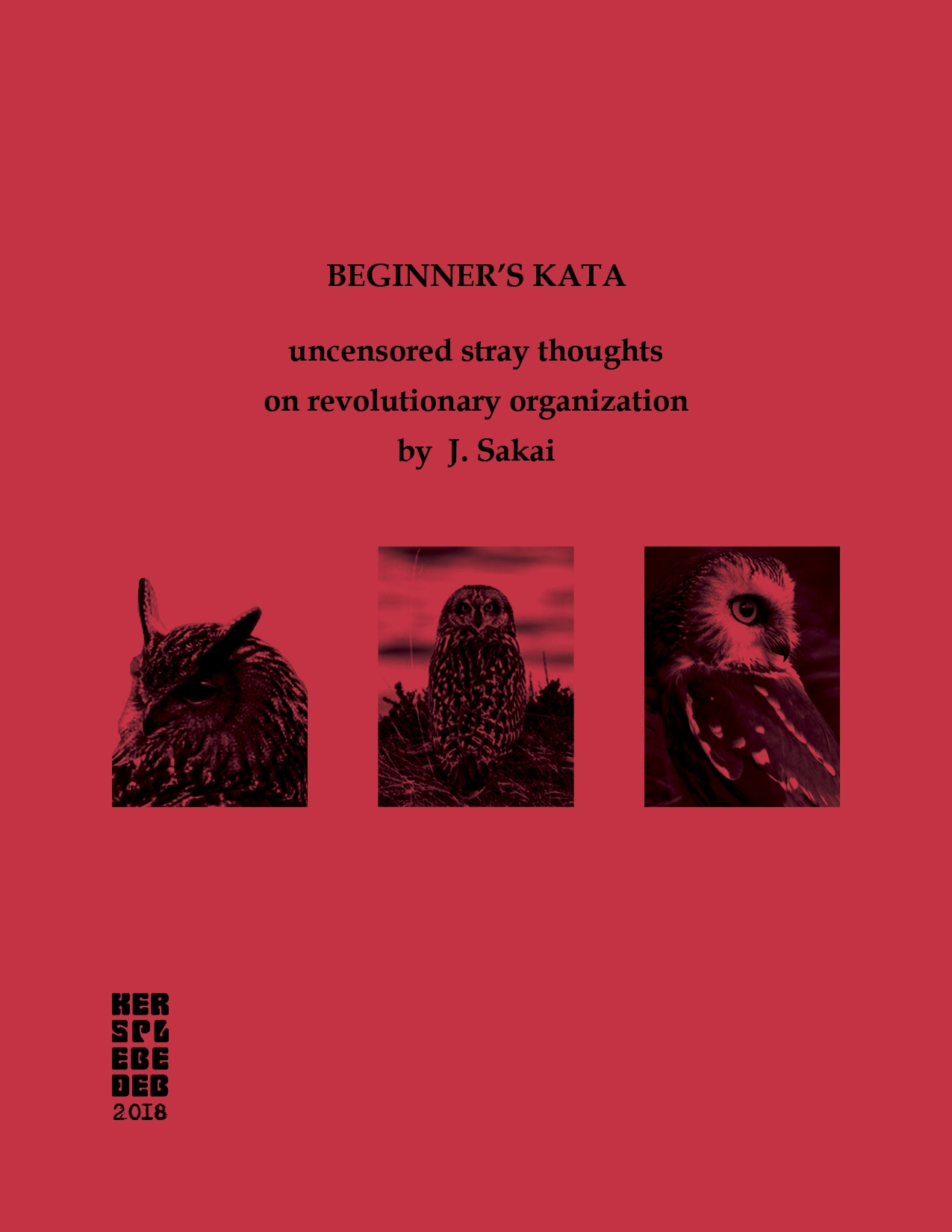 Beginner's Kata : uncensored stray thoughts on revolutionary organization (Zine)