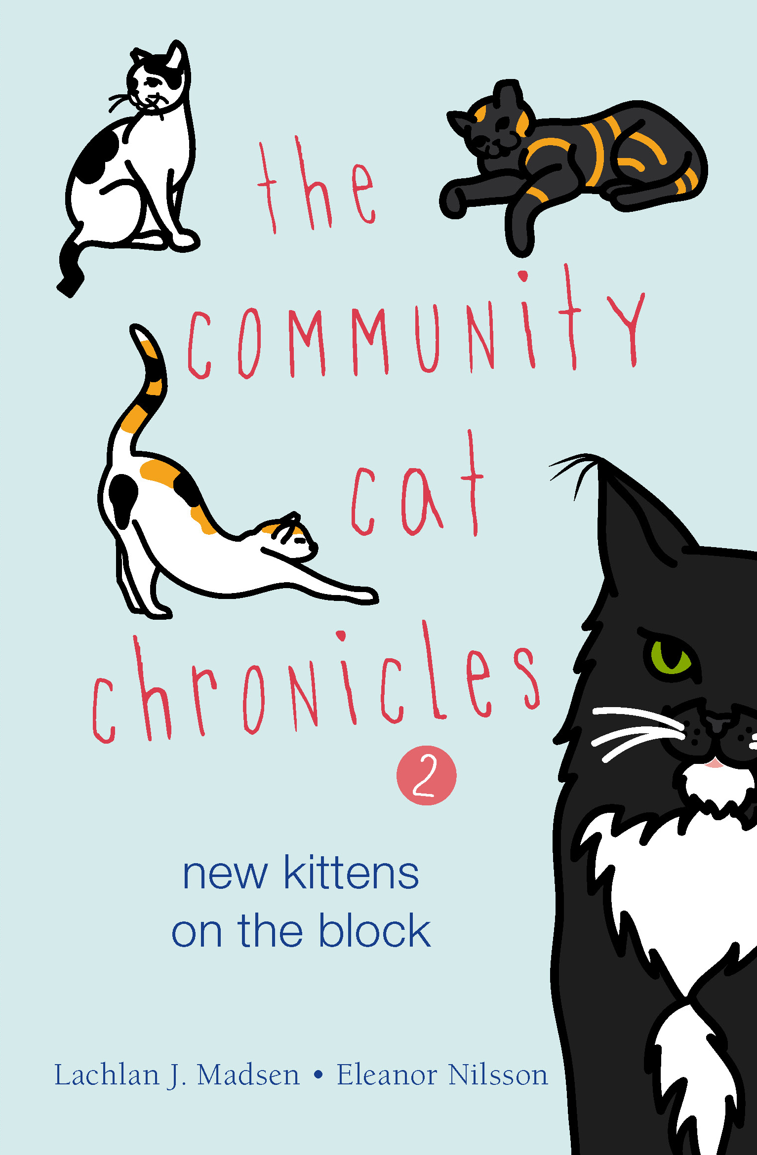 The Community Cat Chronicles II