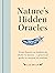 Nature's Hidden Oracles: From Flowers to Feathers & Shells to Stones - A Practical Guide to Natural Divination
