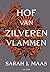 Hof van zilveren vlammen (H...