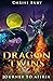 Dragon Twins: Journey To Af...