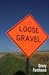 Loose Gravel by Ginny Fanthome
