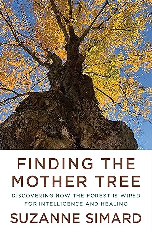Finding the Mother Tree: Discovering the Wisdom of the Forest