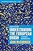 Understanding the European Union: A Concise Introduction (The European Union Series)