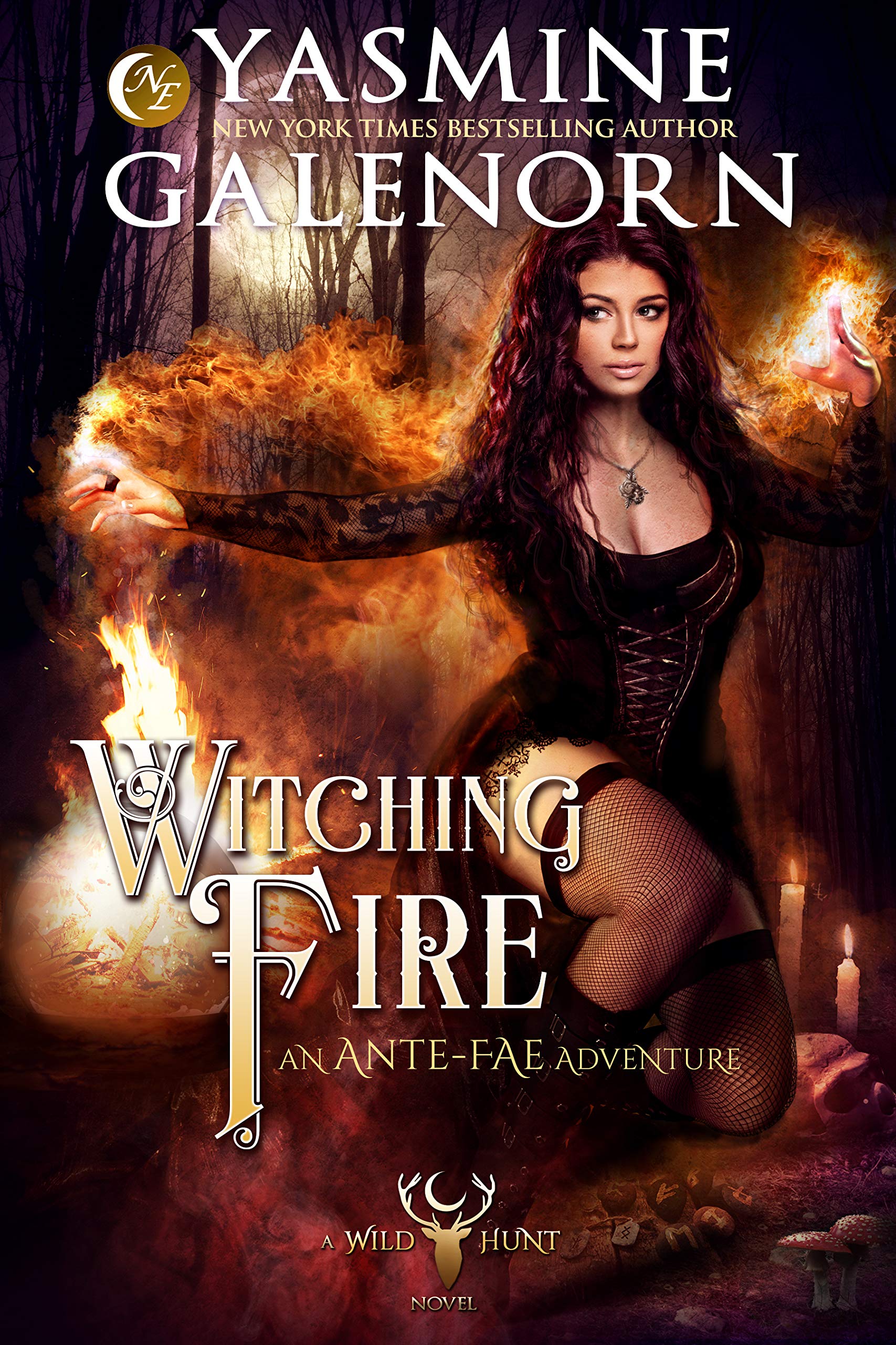 Witching Fire (The Wild Hunt, #16; Ante-Fae Adventure, #5)