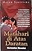 Matahari di Atas Daratan