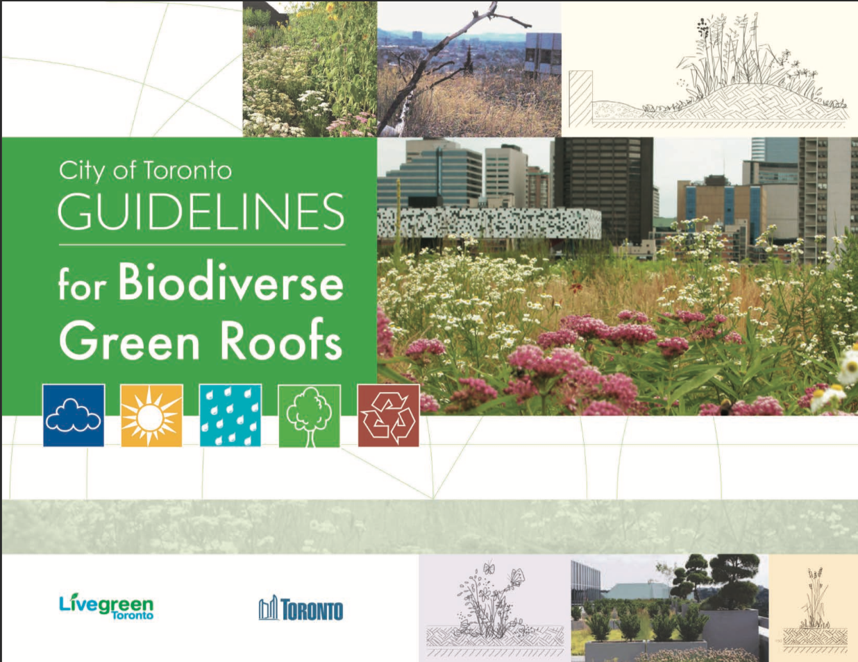 City of Toronto Guidelines for Biodiverse Green Roofs