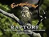 Enraptured by Raptors: The story of a hawk family that captured the heart of a community