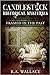 Framed in the Past (Candlestick Historical Mysteries Book 1)