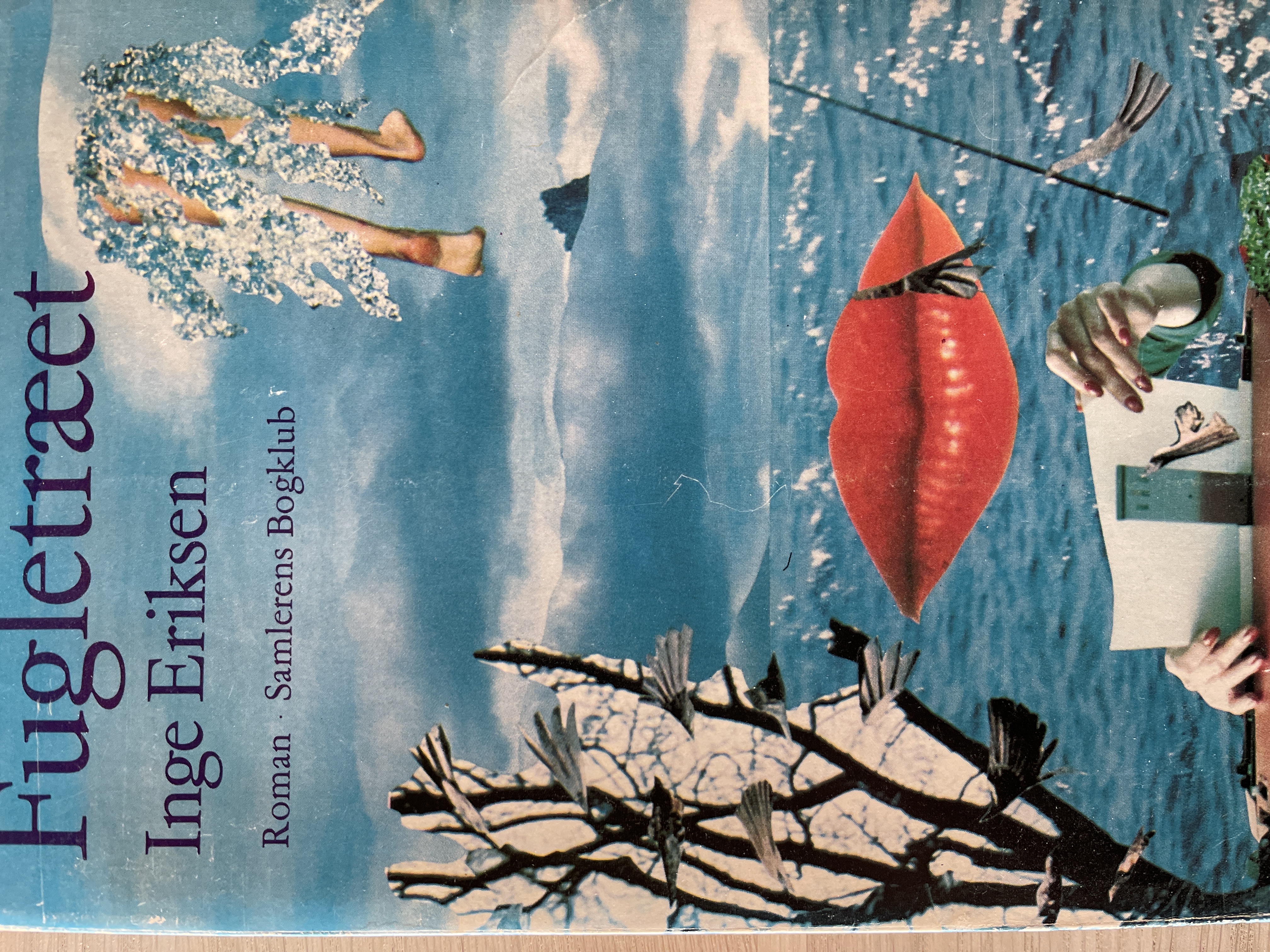 Fugletræet (Paperback)
