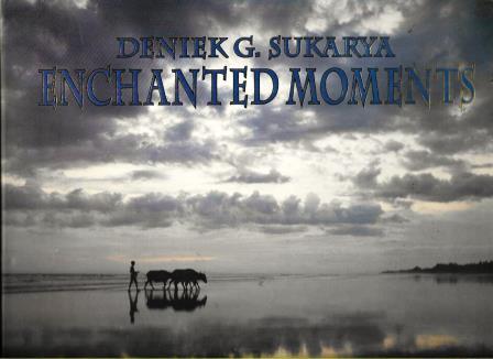 Enchanted Moments