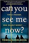 Can You See Me Now by Trisha Sakhlecha Can You See Me Now by Trisha Sakhlecha