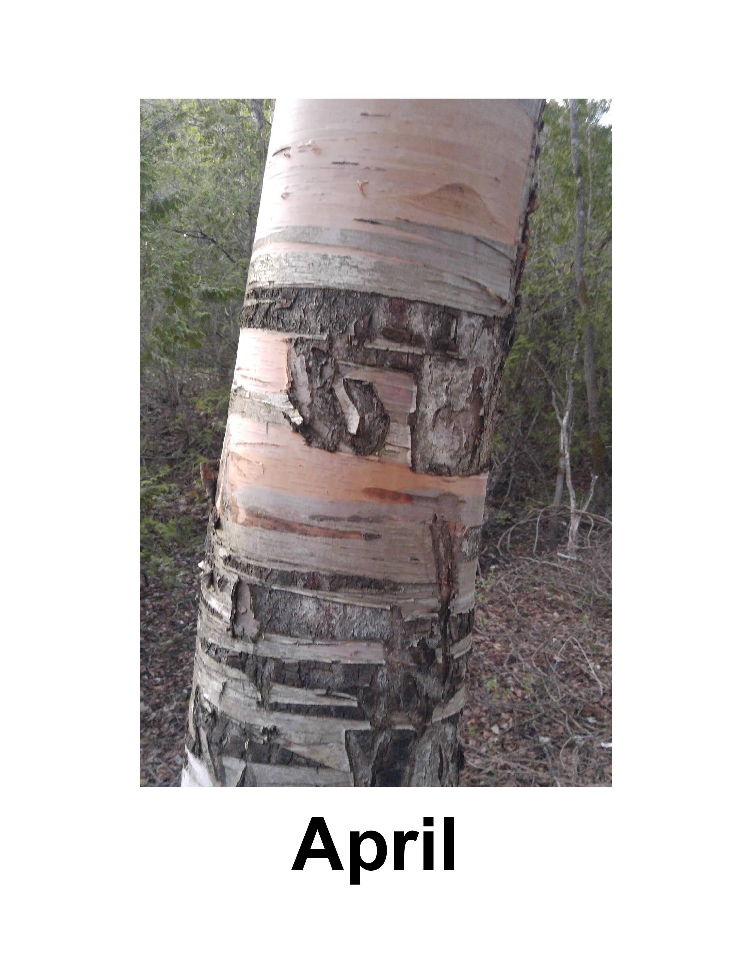 April | Poems