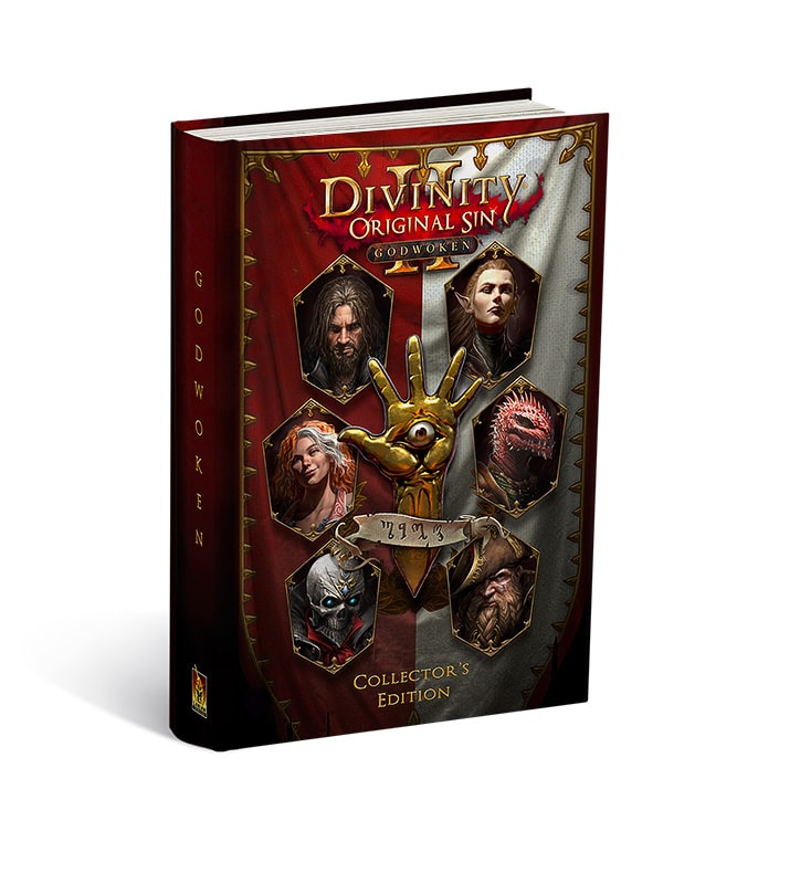 Divinity Original Sin II: Godwoken