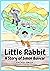 Little Rabbit: A Story of Simón Bolívar