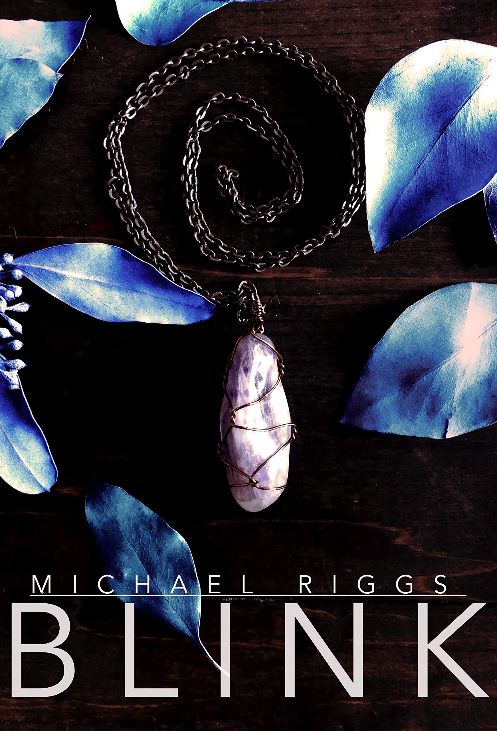 Blink (Kindle Edition)