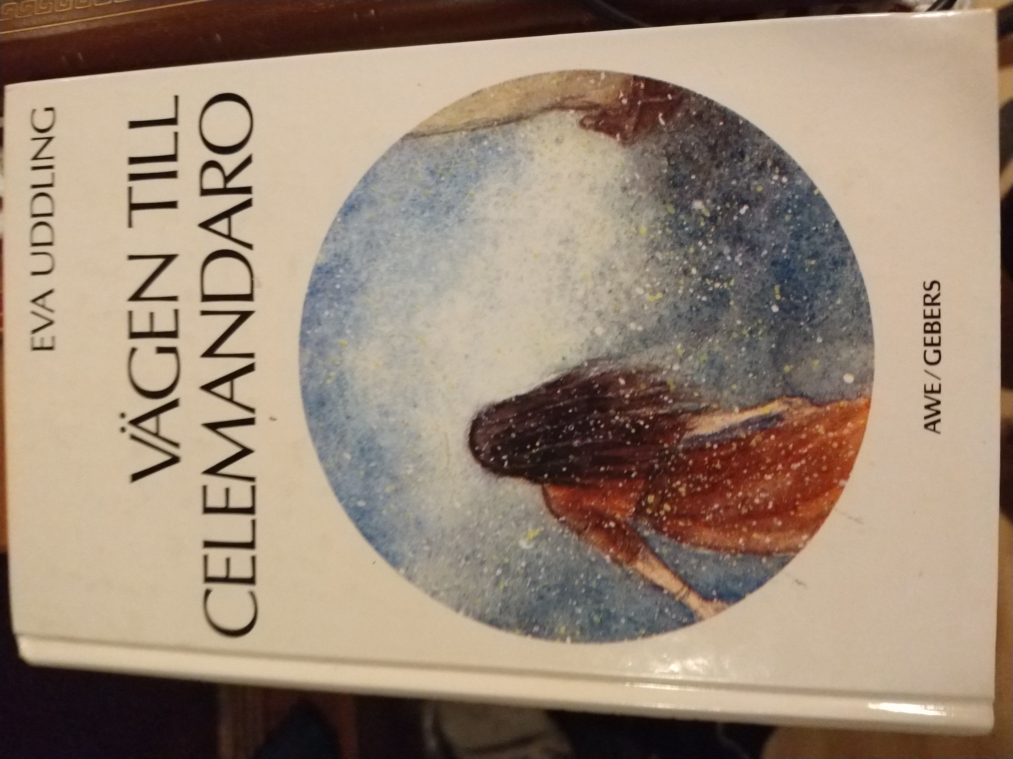 Vägen till Celemandaro (Hardcover)