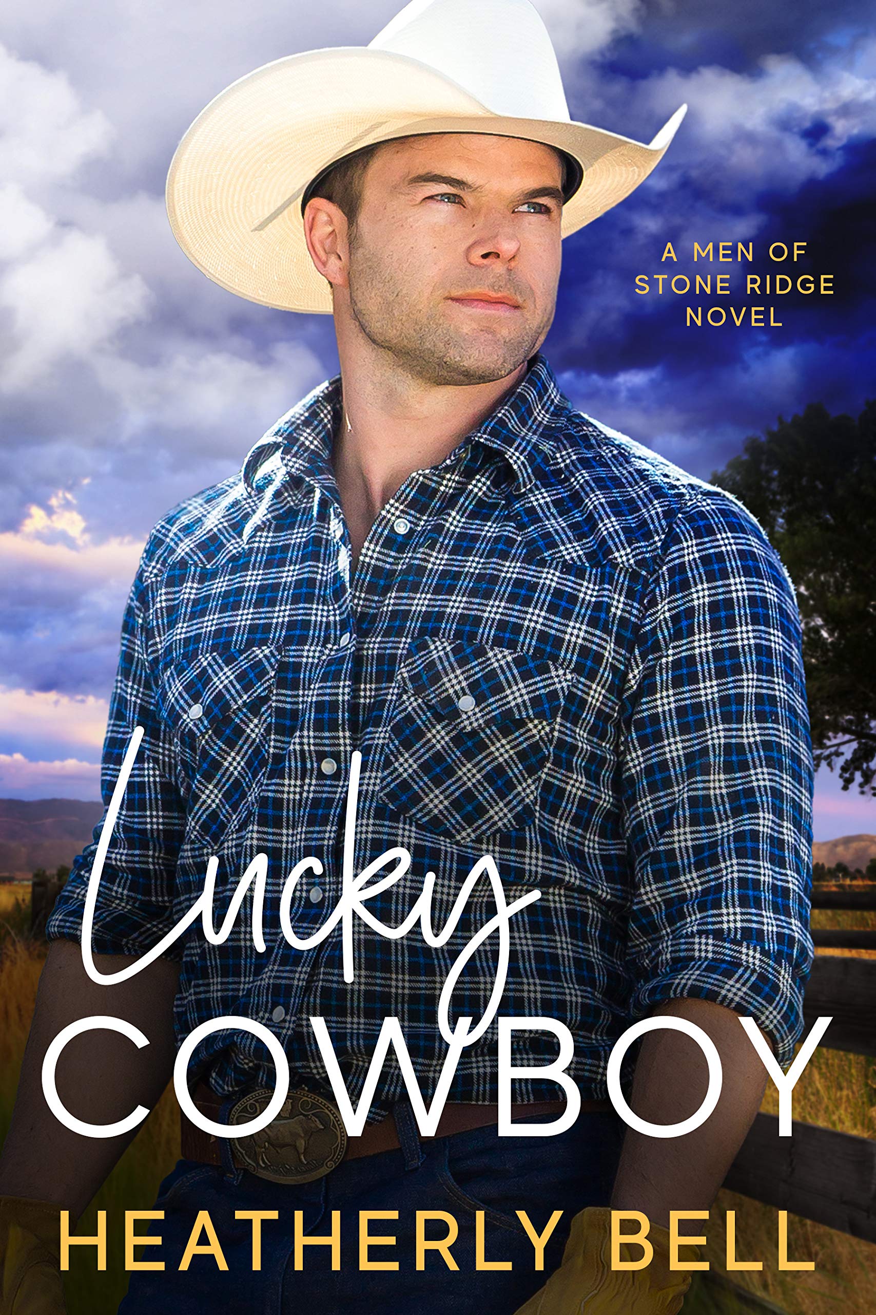 Lucky Cowboy (Men of Stone Ridge, #1)