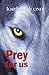 Prey for Us