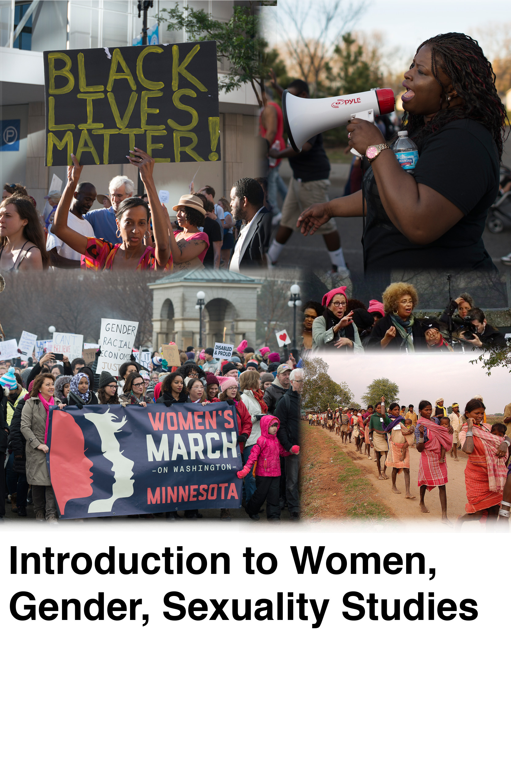 Introduction to Women, Gender, Sexuality Studies