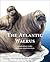 The Atlantic Walrus: Multid...