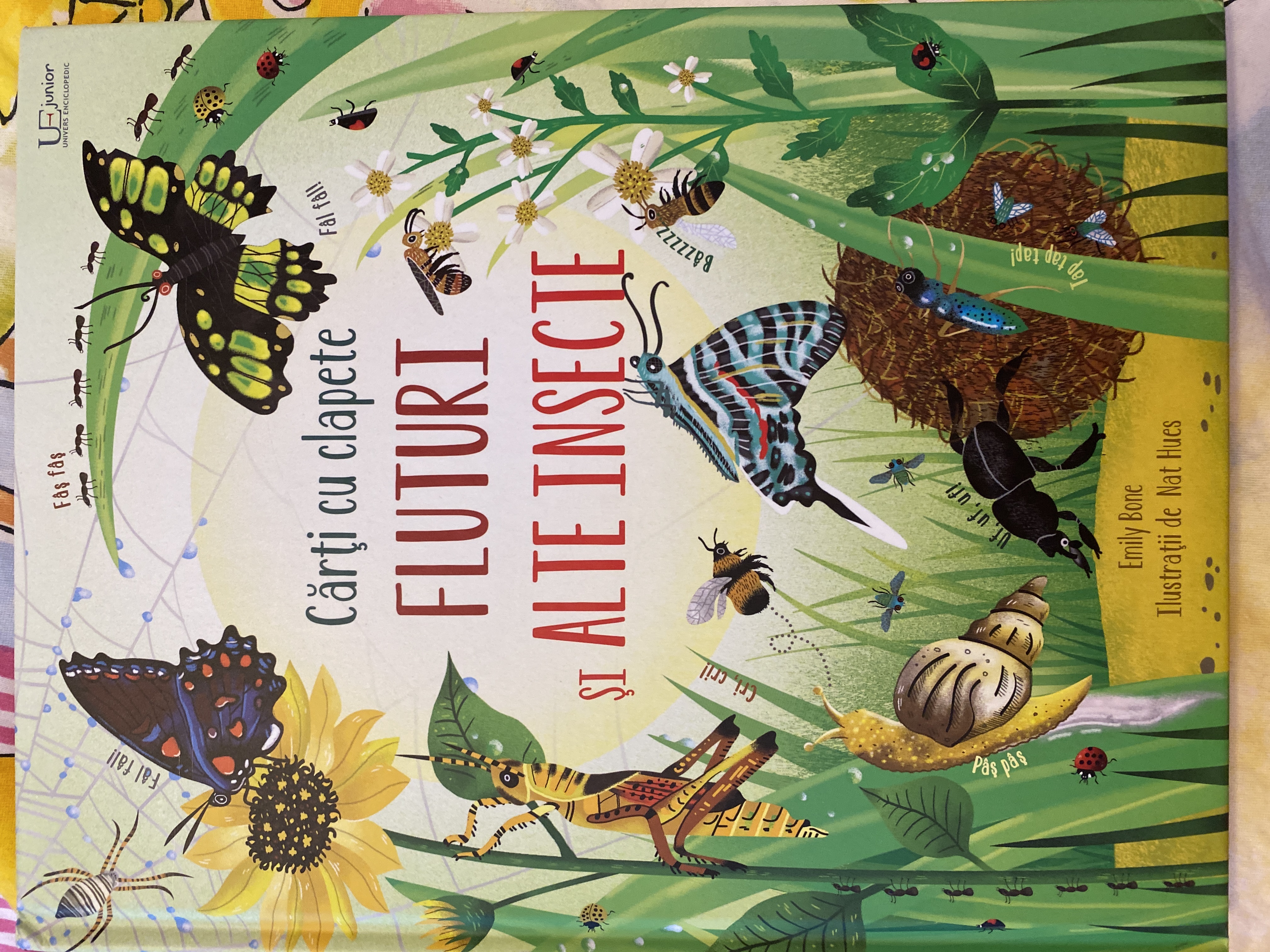 Fluturi și alte insecte (cărți cu clapete)