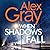 When Shadows Fall (DCI Lorimer, #17)
