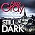 Still Dark (DCI Lorimer, #14)