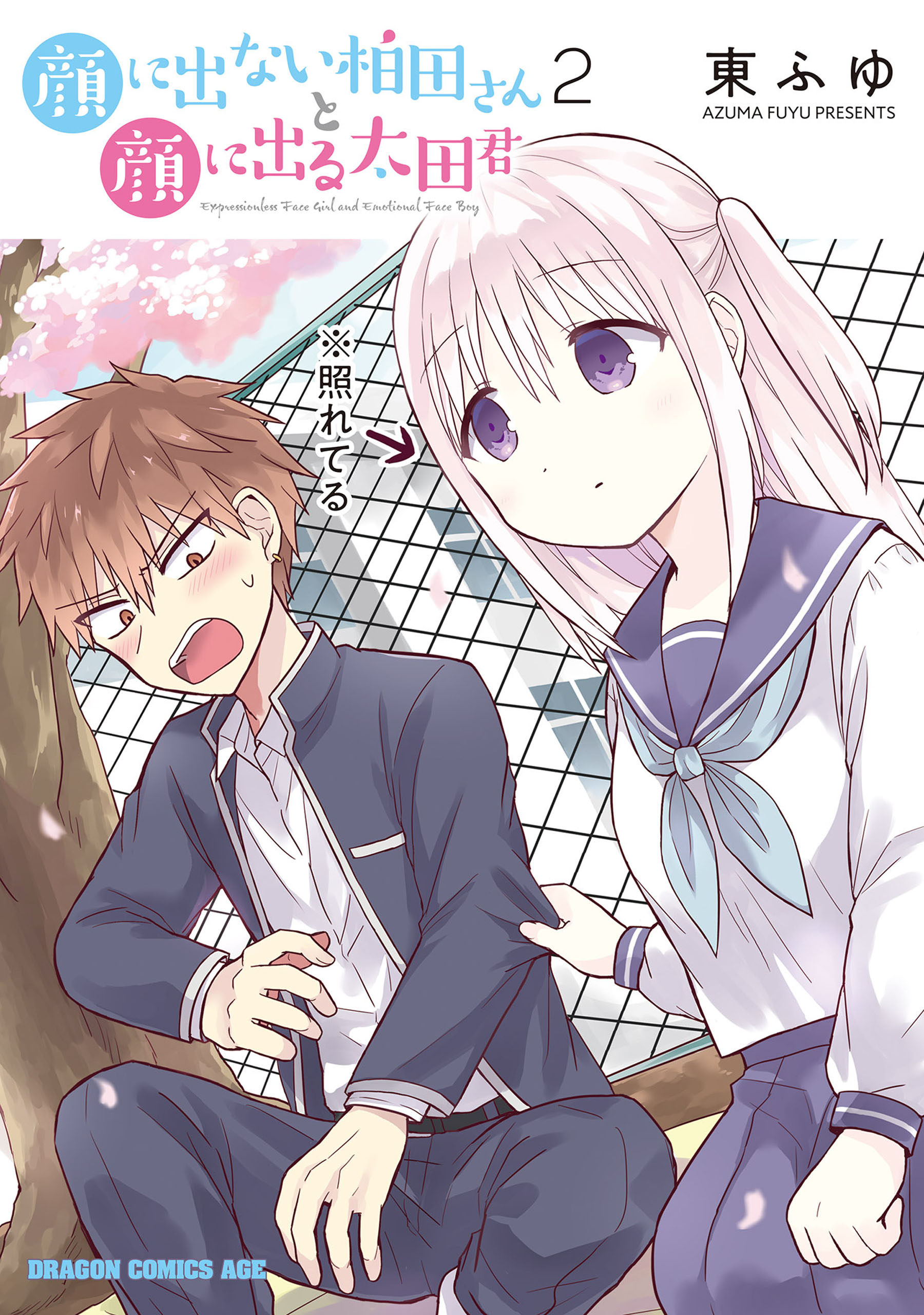 Expressionless Kashiwada-san and Emotional Oota-kun, Vol. 2 (Kao ni denai Kashiwada-san to Kao ni deru Ota-kun, #2)