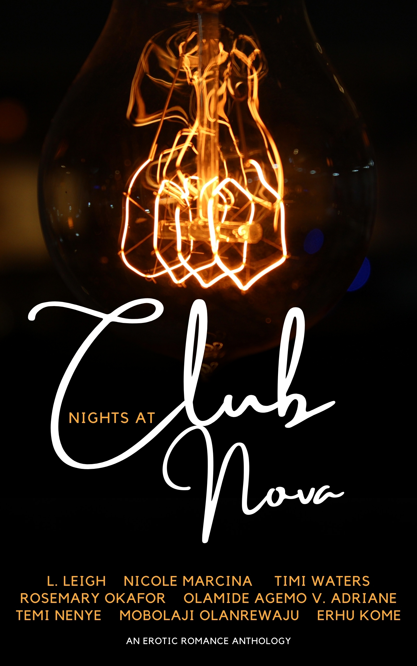 Nights at Club Nova : An Erotic Romance Anthology