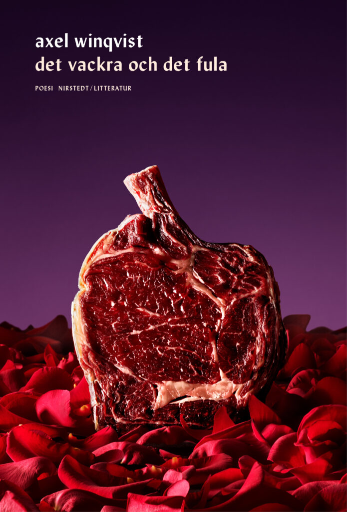 Det vackra och det fula (Hardcover)